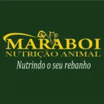Logo Maraboi